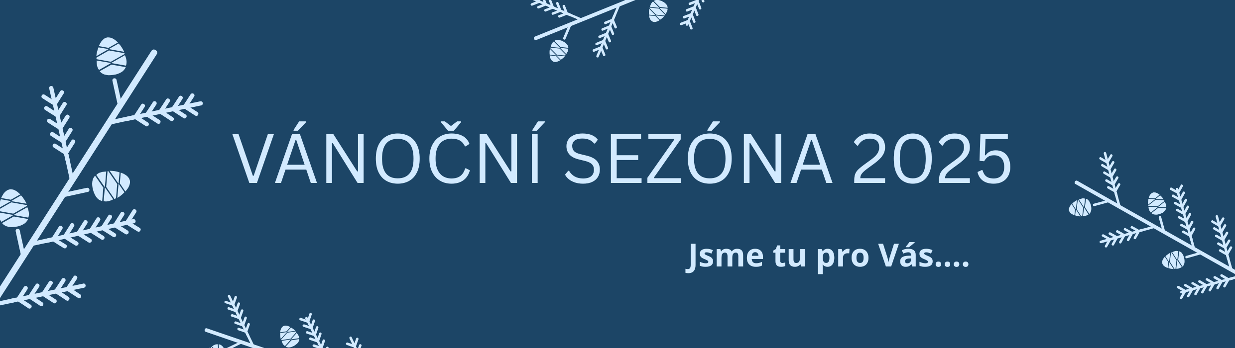 Vánoční banner